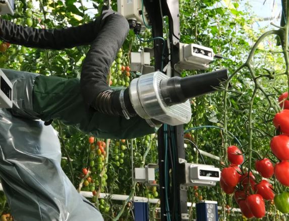 Four Growers با حمایت YC، ربات هایی را برای کمک به حل کمبود نیروی کار گلخانه ای می سازد